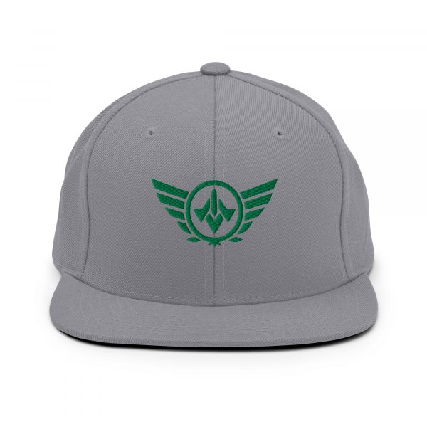 Kelly Green Embroidered Logo Snapback | Premium
