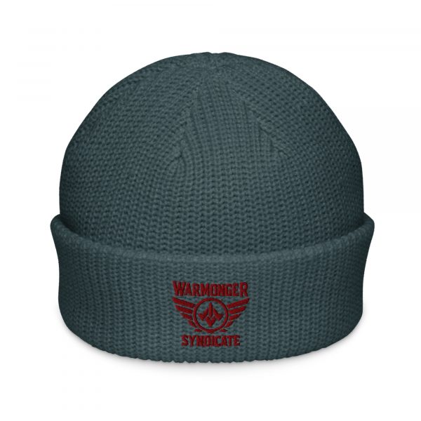 Maroon Embroidered Brand Logo Beanie | Fisherman