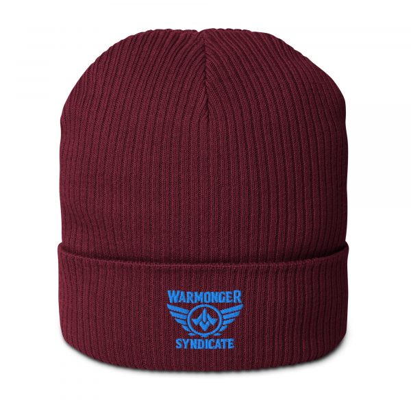Aqua Embroidered Brand Logo Beanie | Organic Ribbed