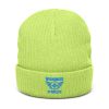 Aqua Embroidered Brand Logo Beanie | Ribbed