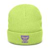 Purple Embroidered Brand Logo Beanie | Ribbed