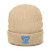 Aqua Embroidered Brand Logo Beanie | Ribbed