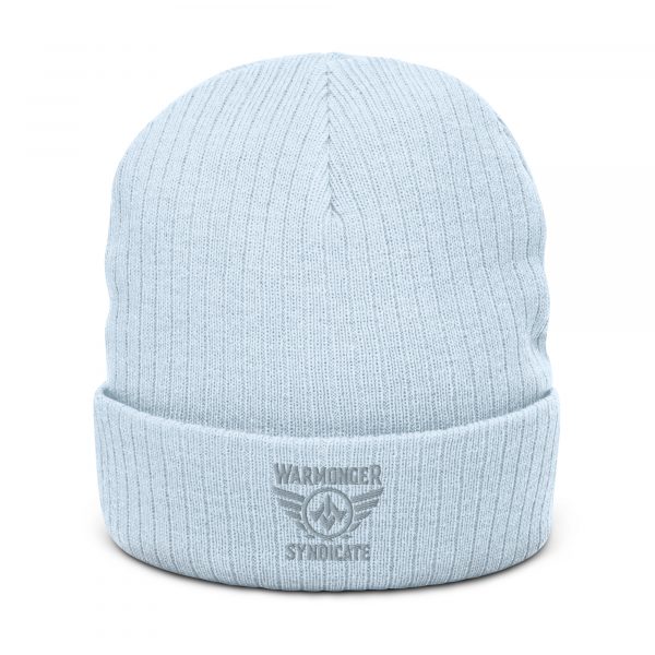 Grey Embroidered Brand Logo Beanie | Ribbed