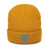 Aqua Embroidered Brand Logo Beanie | Ribbed