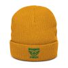 Kelly Green Embroidered Brand Logo Beanie | Ribbed