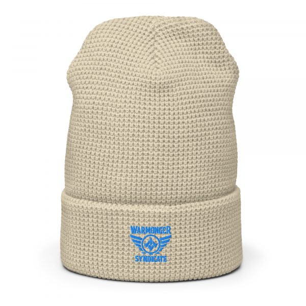 Aqua Embroidered Brand Logo Beanie | Waffle