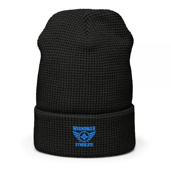Aqua Embroidered Brand Logo Beanie | Waffle