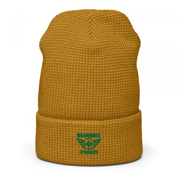 Kelly Green Embroidered Brand Logo Beanie | Waffle