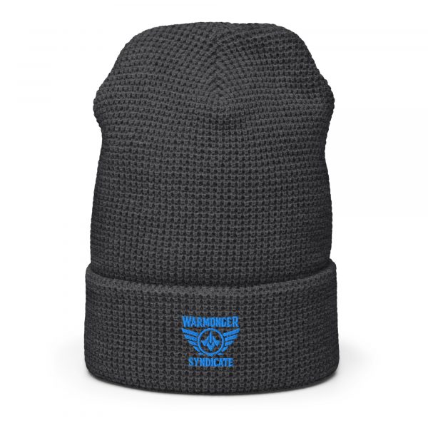 Aqua Embroidered Brand Logo Beanie | Waffle