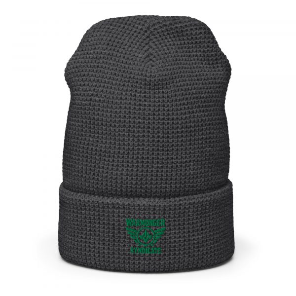 Kelly Green Embroidered Brand Logo Beanie | Waffle